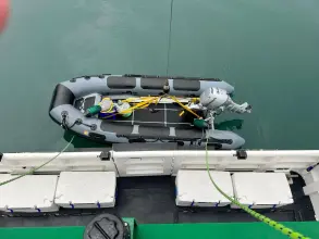 Thumbnail von Falcon 62 Miss Brizz