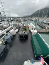 Thumbnail von Falcon 62 Miss Brizz