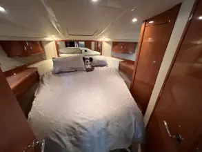 Thumbnail von Sealine F37 Ohana