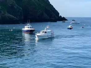 Thumbnail von Aquastar 38 Plain Vanilla