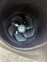 Thumbnail von Nimbus 405 Coupe BERTIE