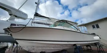 Thumbnail von Pursuit 345 Island Runner Sportfish