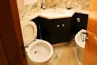 Thumbnail von Maiora 20 S Lady Rose