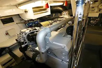 Thumbnail von Maiora 20 S Lady Rose