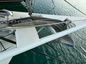 Thumbnail von Jeanneau Sun Fast 40