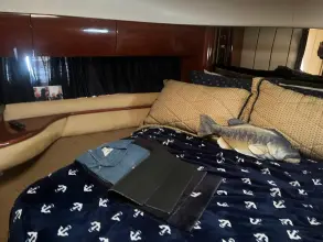 Thumbnail von Princess 65