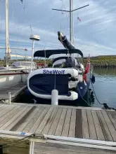 Thumbnail von Southerly 46 RS SHEWOLF