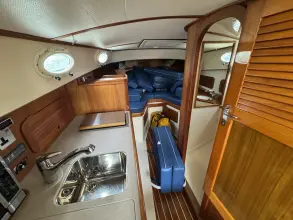 Thumbnail von Hinckley Picnic Boat 36