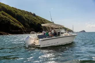 Thumbnail von Nimbus T8