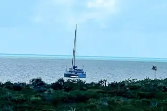 Thumbnail von Dolphin 450 Miss Roxy