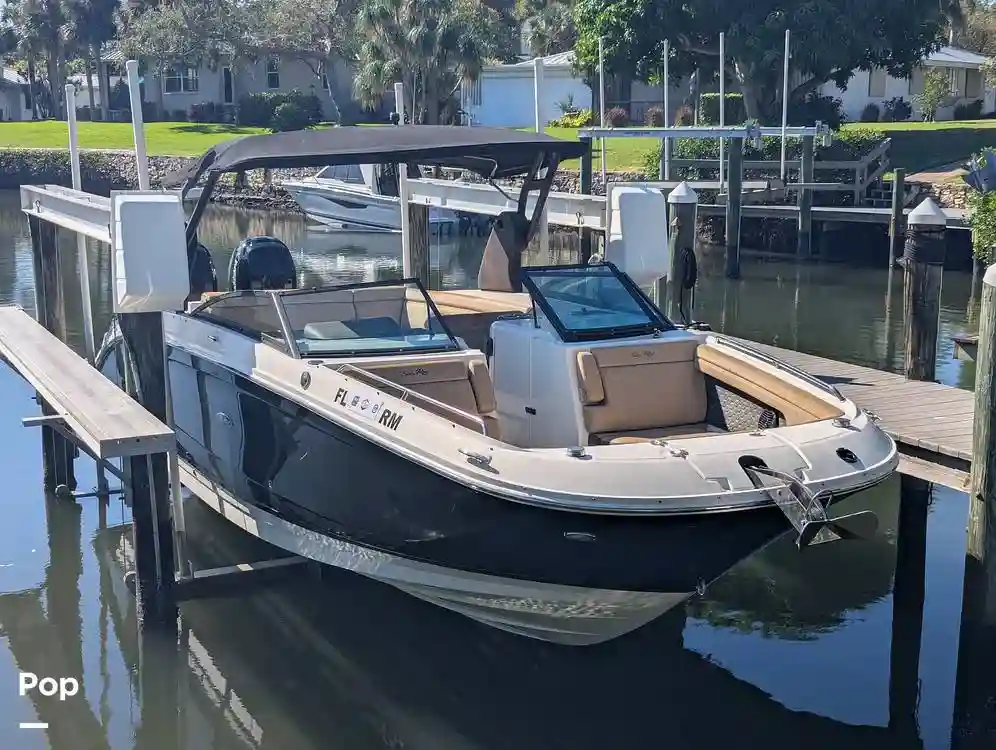 Sea Ray SDX 290