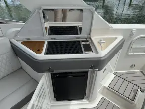 Thumbnail von Sea Ray SLX 310 s motorem