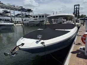 Thumbnail von Sea Ray SLX 310 s motorem