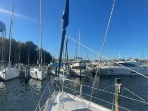 Thumbnail von ベネトー オーシニスクリッパー 423 プレーンエア