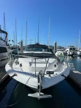 Thumbnail von Sea Ray 330 Sundancer Knot for Sail