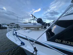 Thumbnail von Bertram 46