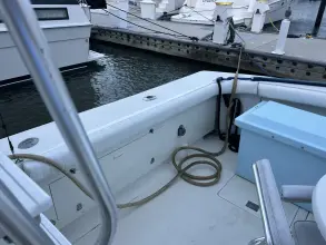 Thumbnail von Bertram 46