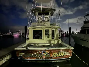 Thumbnail von Bertram 46