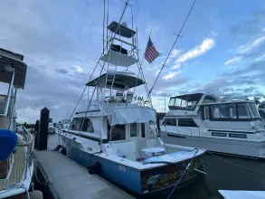 Thumbnail von Bertram 46