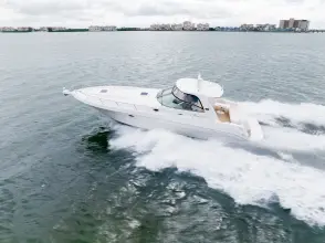 Thumbnail von Sea Ray 460 Sundancer