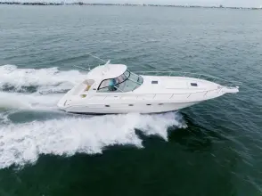 Thumbnail von Sea Ray 460 Sundancer