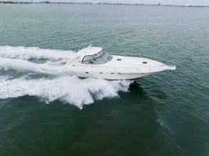 Thumbnail von Sea Ray 460 Sundancer
