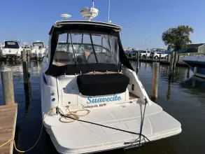 Thumbnail von Sea Ray 350 Sundancer