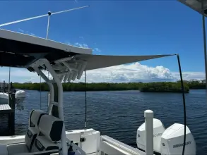 Thumbnail von Blackfin 272 CC