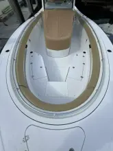 Thumbnail von Sporcu Açık 352 Scungilli