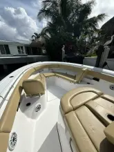 Thumbnail von Sporcu Açık 352 Scungilli