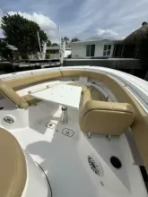 Thumbnail von Sporcu Açık 352 Scungilli