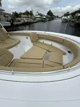 Thumbnail von Sporcu Açık 352 Scungilli