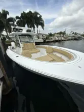 Thumbnail von Sporcu Açık 352 Scungilli