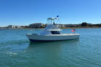 Thumbnail von Bertram 31 Flybridge Cruiser BANDIT