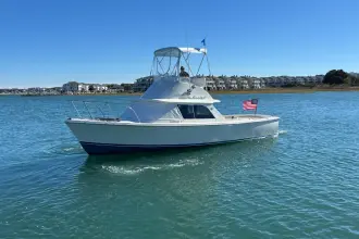 Thumbnail von Bertram 31 Flybridge Cruiser BANDIT