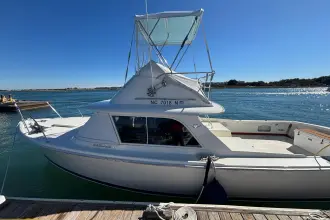 Thumbnail von Bertram 31 Flybridge Cruiser BANDIT