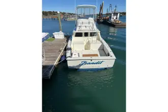 Thumbnail von Bertram 31 Flybridge Cruiser BANDIT