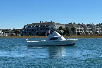 Thumbnail von Bertram 31 Flybridge Cruiser BANDIT