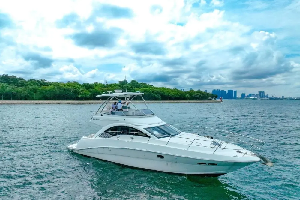 Sea Ray 47 Sedan Bridge 10010643