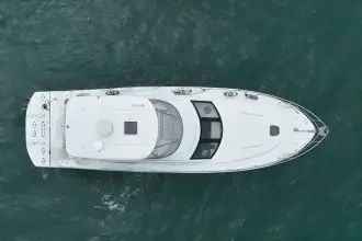 Thumbnail von Sea Ray 47 Sedan Bridge 10010643