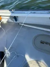 Thumbnail von Jarvis Newman 32