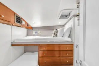 Thumbnail von Hatteras 42 Convertible