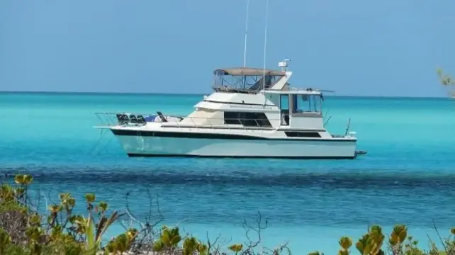 Camargue Cockpit Limitless