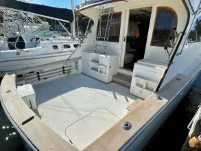 Thumbnail von Post 46 Jubiläum