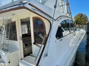 Thumbnail von Post 46 Jubiläum