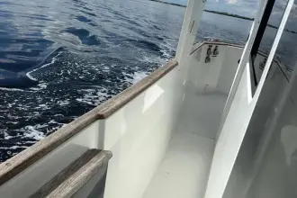 Thumbnail von Beneteau Swift Trawler 34