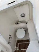 Thumbnail von World Cat 260 CC ALICAT