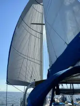 Thumbnail von SLOCUM 43 TROUVAILLE