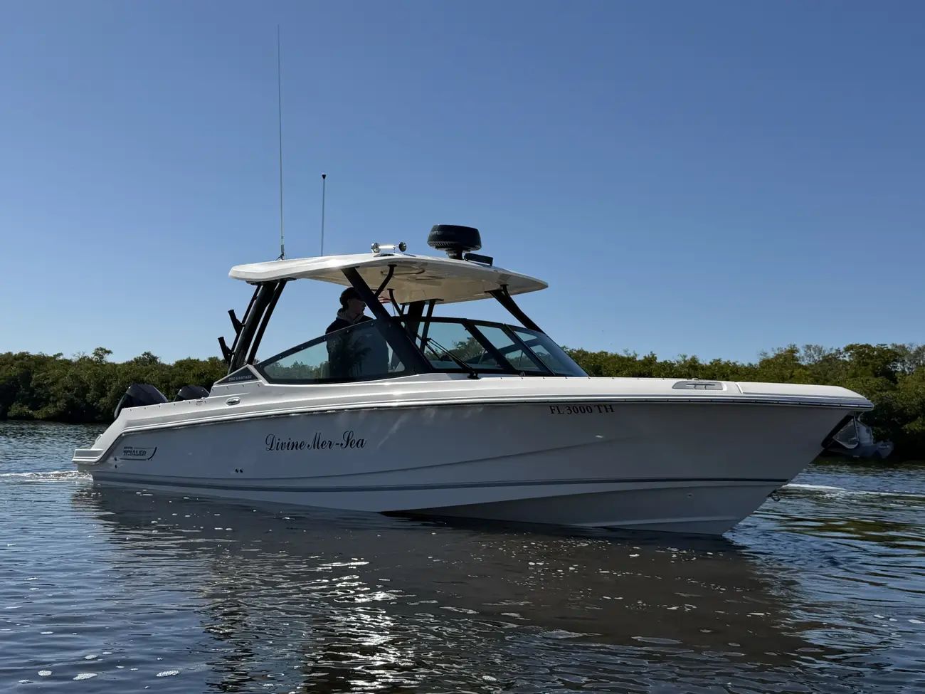 Boston Whaler 280 Vantage