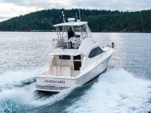 Thumbnail von Riviera 4400 Sport Yacht